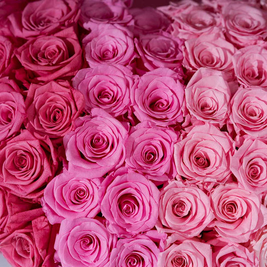 Love at First Sight - Gradient Pink Forever Roses Box - Flowersong | Preserved Roses in Full Bloom