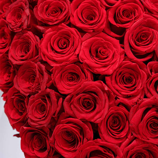 Love at First Sight - Red Forever Roses Box - Flowersong | Preserved Roses in Full Bloom