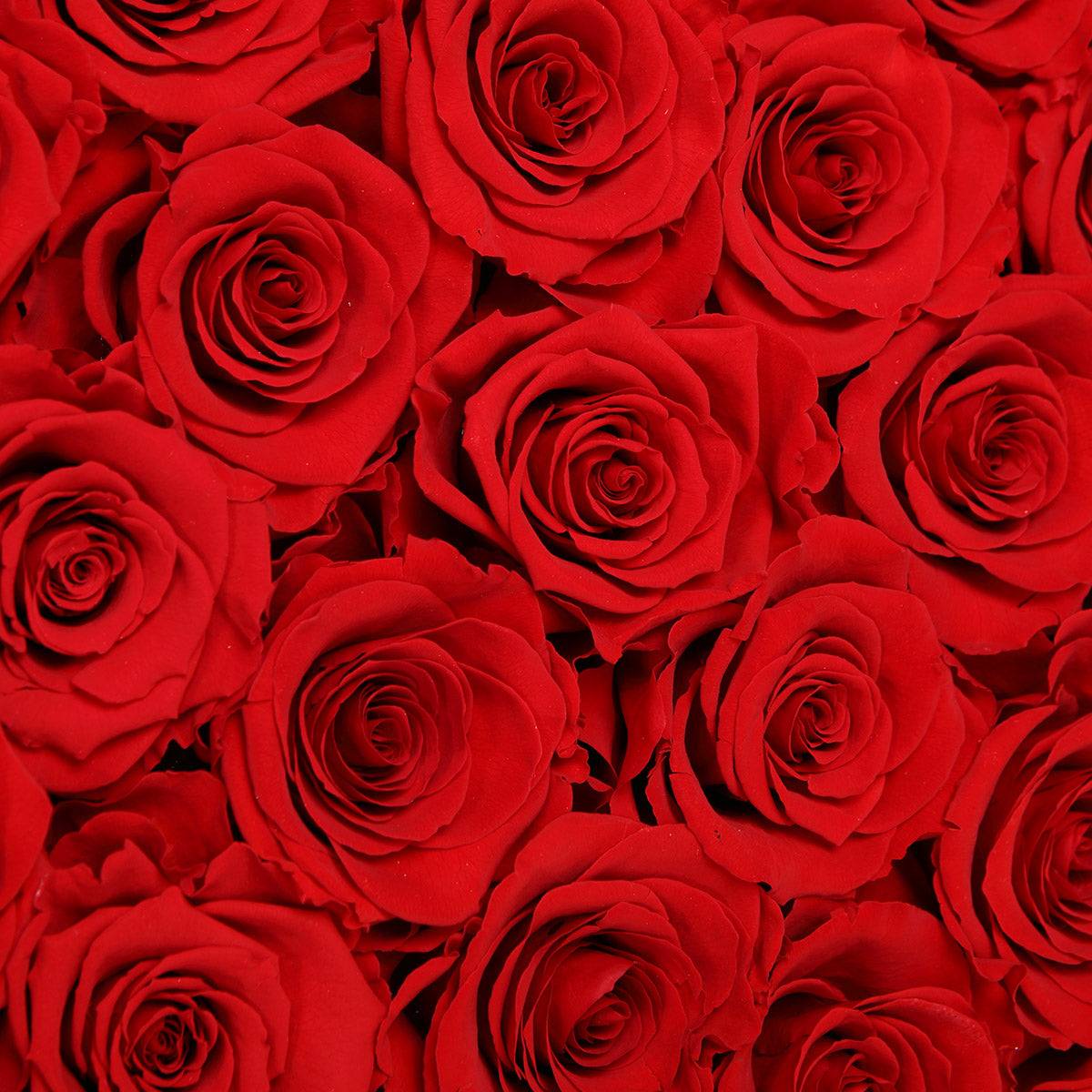 Luxe Eternity Rose Grandeur - Flowersong | Preserved Roses in Full Bloom